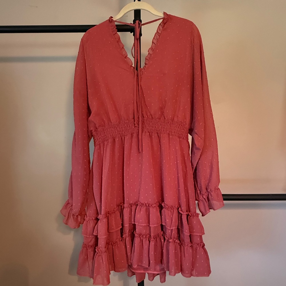 Altar'd State Mauve Pink Swiss Dot Ruffle Mini Dress Large Long Sleeve Smocked - Picture 5 of 5